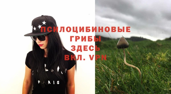 стафф Волоколамск