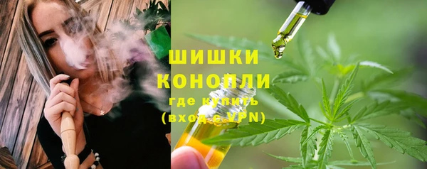 стаф Волосово