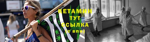 стаф Волосово