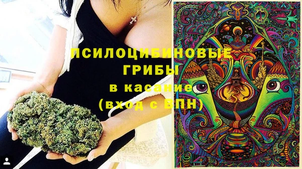 стафф Волоколамск