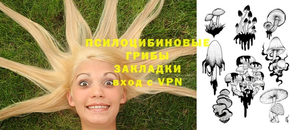 стаф Волосово
