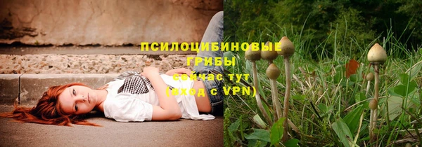 стаф Волосово